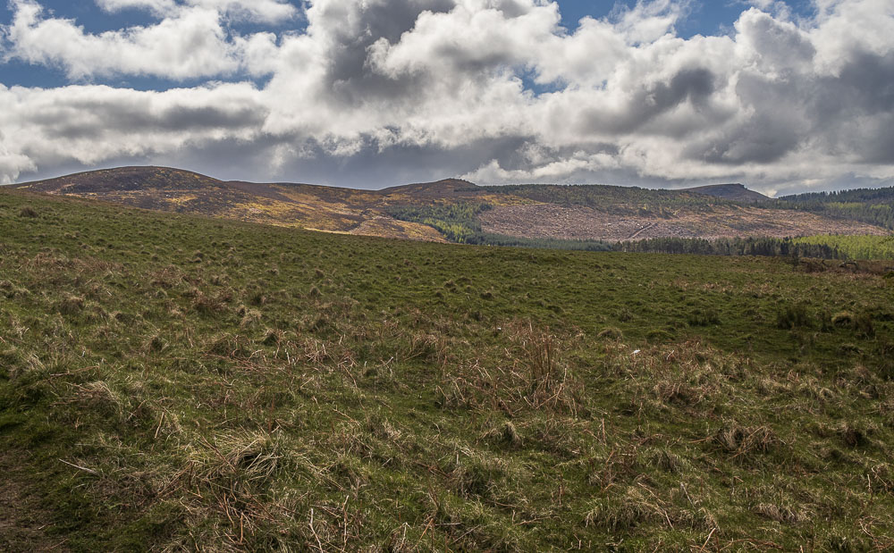 Simonside Hills Simonside Hills